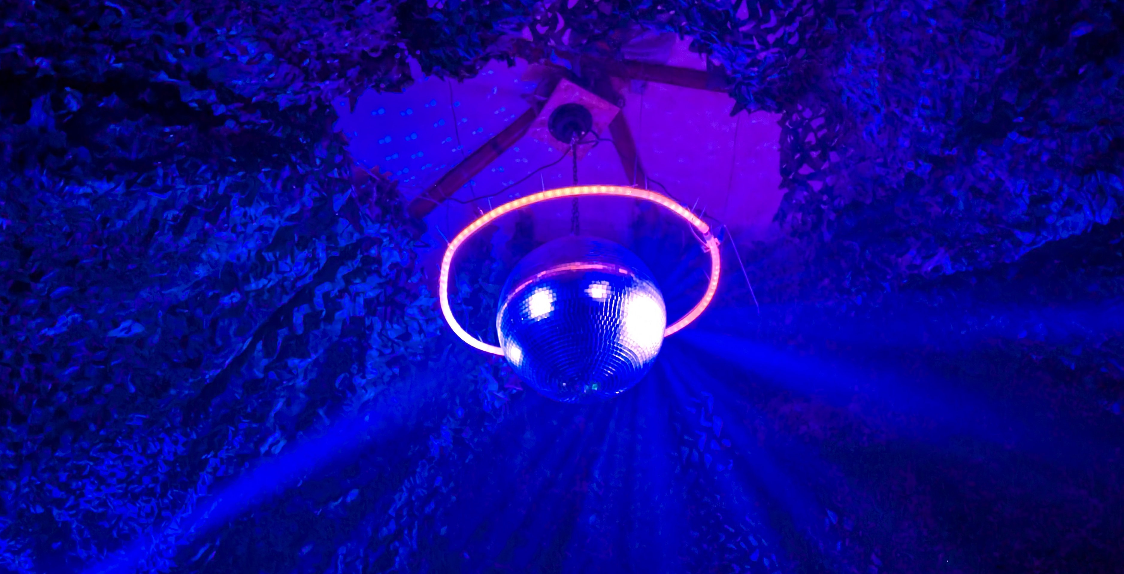 Looking up in the dome