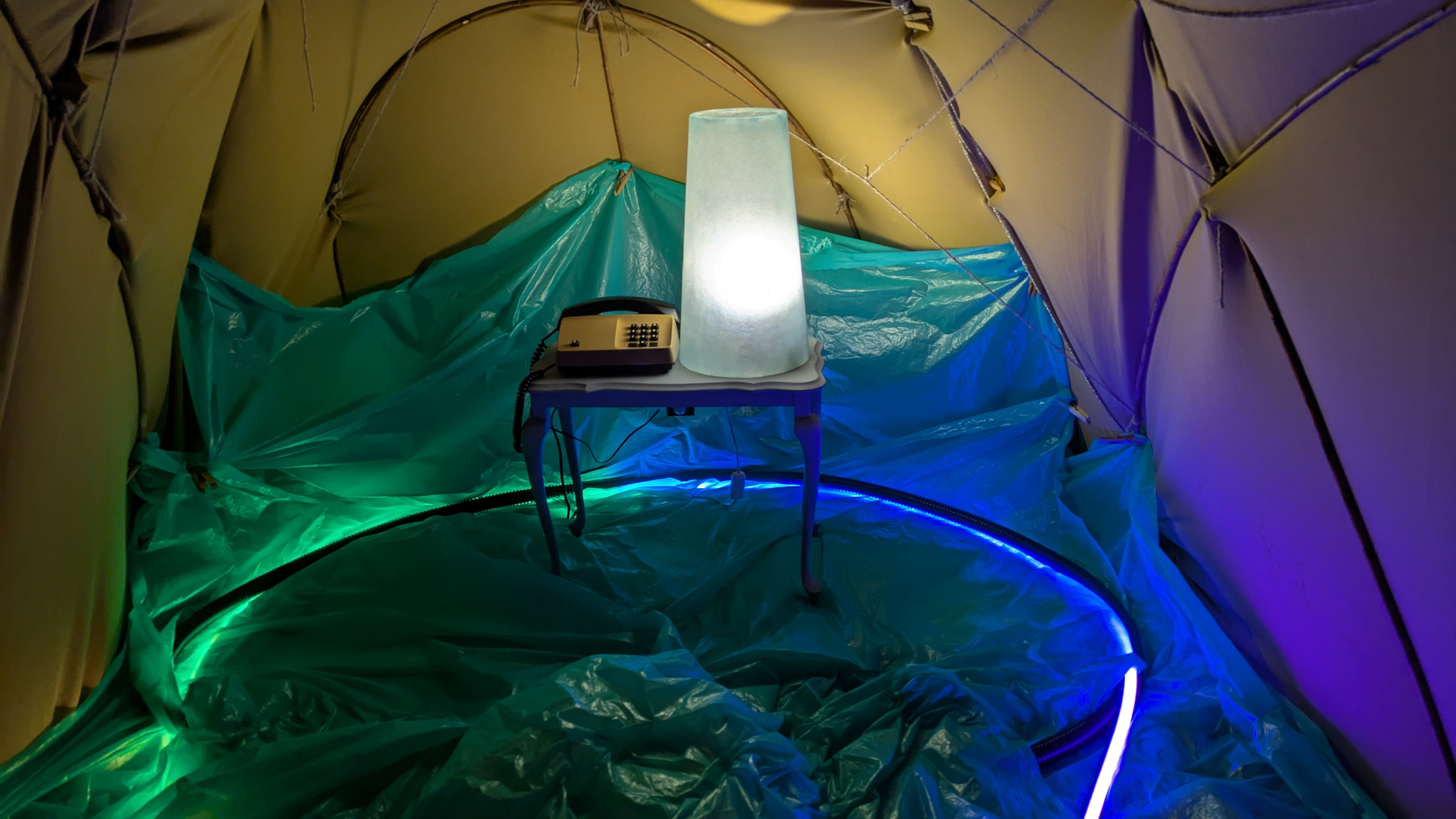 inside the isopod