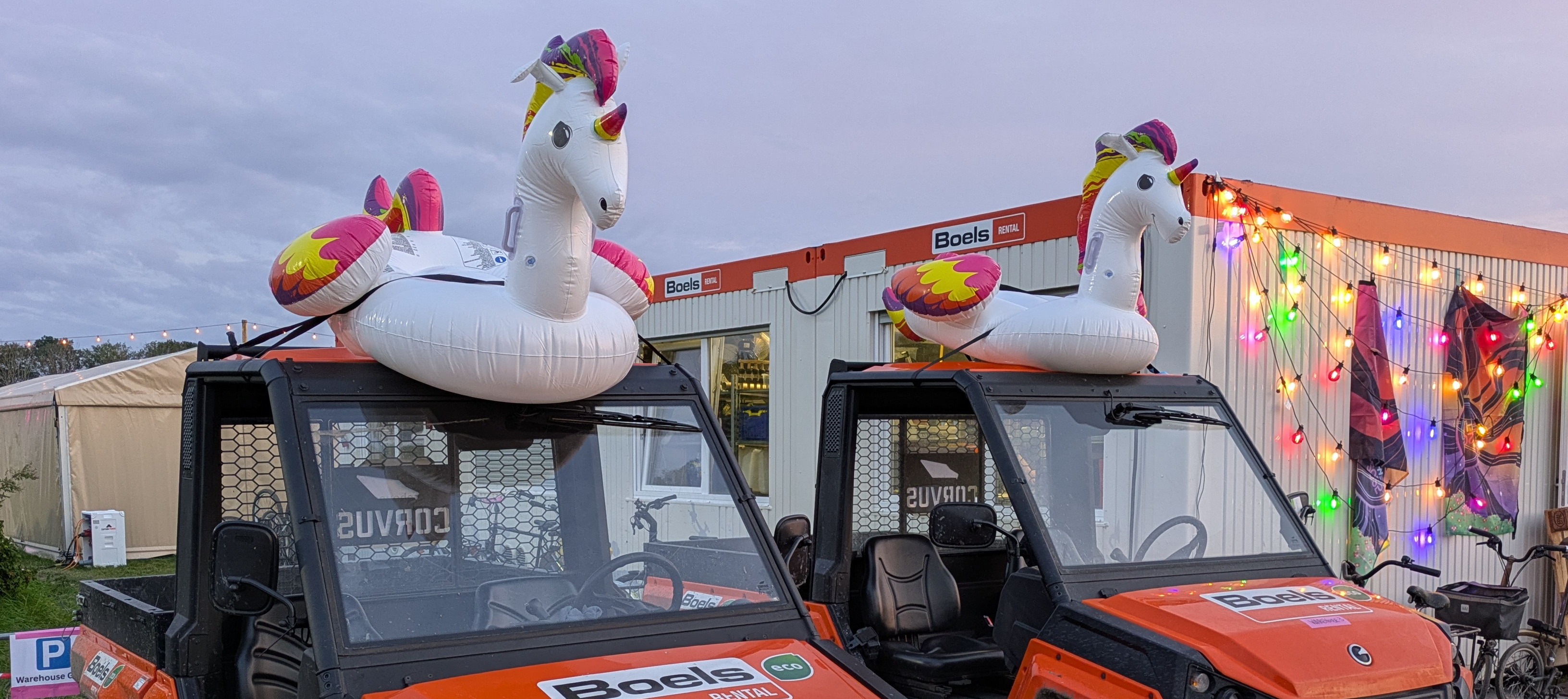 real unicorns